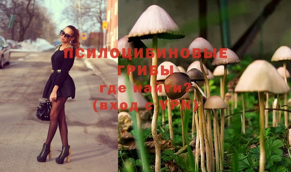 круглые Алзамай