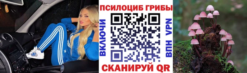 гидра как зайти  Нягань  Псилоцибиновые грибы мухоморы 