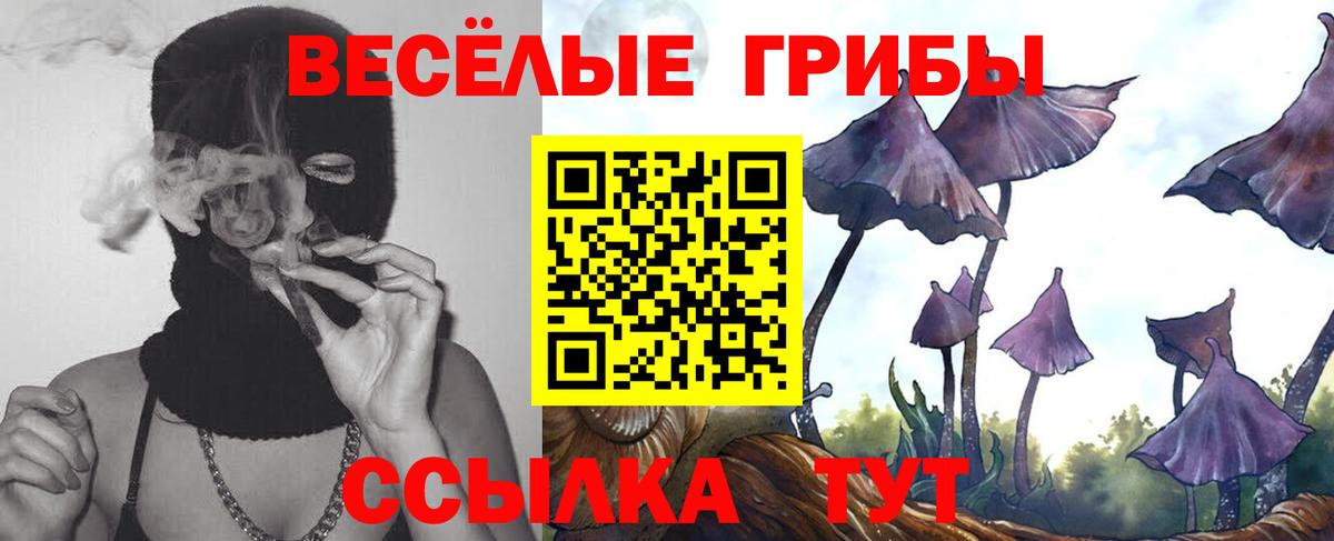 Галлюциногенные грибы Psilocybine cubensis  Вход с VPN  Нягань 